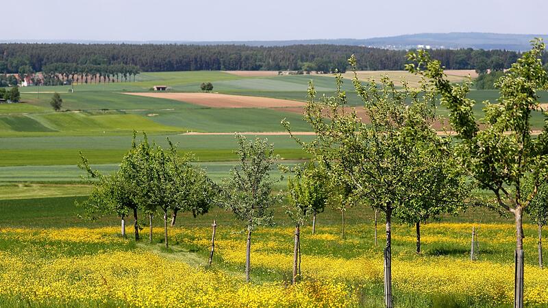 Streuobstwiese Streuobstwiese