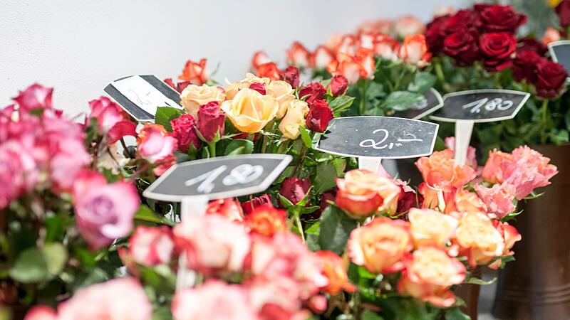 Rosen vor dem Valentinstag