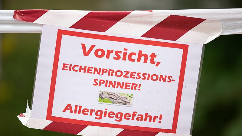 Warnung vor Eichenprozessionsspinnern Warnung vor Eichenprozessionsspinnern