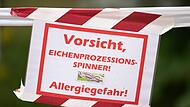 Warnung vor Eichenprozessionsspinnern Warnung vor Eichenprozessionsspinnern
