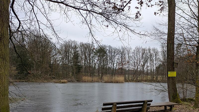 Der Windseller See bei Reichenbach ist ein Biotop: Beobachten ja, baden verboten!