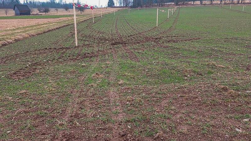 Das Vergr&auml;men der Feldlerchen sorgte bereits im Vorfeld des PV-Anlagenbaus f&uuml;r Unmut.