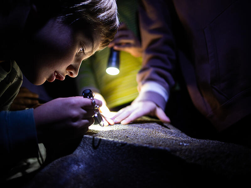 Im Vogelsaal untersucht Nils (6 J.) den Unterkieferknochen eines Gr&ouml;nlandwals.