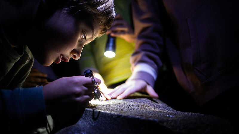 Im Vogelsaal untersucht Nils (6 J.) den Unterkieferknochen eines Gr&ouml;nlandwals.
