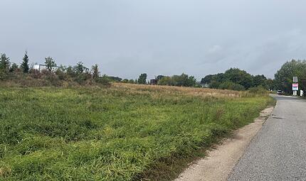 RegnitzwehrForchheim & Fränkische Schweiz Im Hallerndorfer Ortsteil Schlammersdorf sollte in Kürze das neue Gewerbegebiet Regnitzwehr an den Start gehen. Nun hat der VGH das Projekt gestoppt. Es gibt herbe Umweltbedenken.