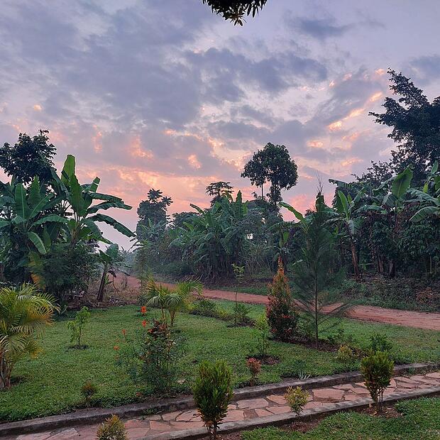 Lwezo in Uganda am Morgen - hier hat der Bamberger Michael Rudolph einen Monat als Lehrer gearbeitet