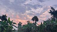 Lwezo in Uganda am Morgen - hier hat der Bamberger Michael Rudolph einen Monat als Lehrer gearbeitet Lwezo in Uganda am Morgen - hier hat der Bamberger Michael Rudolph einen Monat als Lehrer gearbeitet