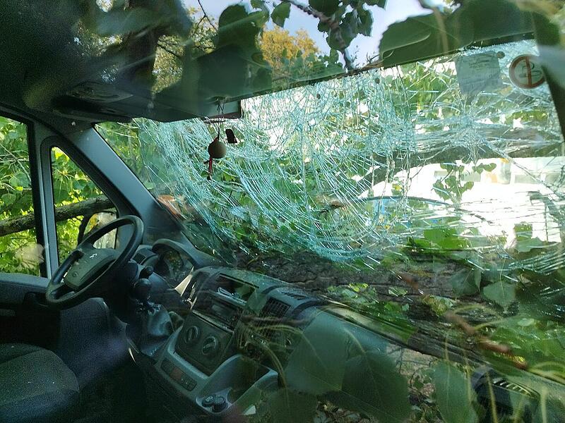 Kulmbach: Entwurzelter Baum kracht auf Bus