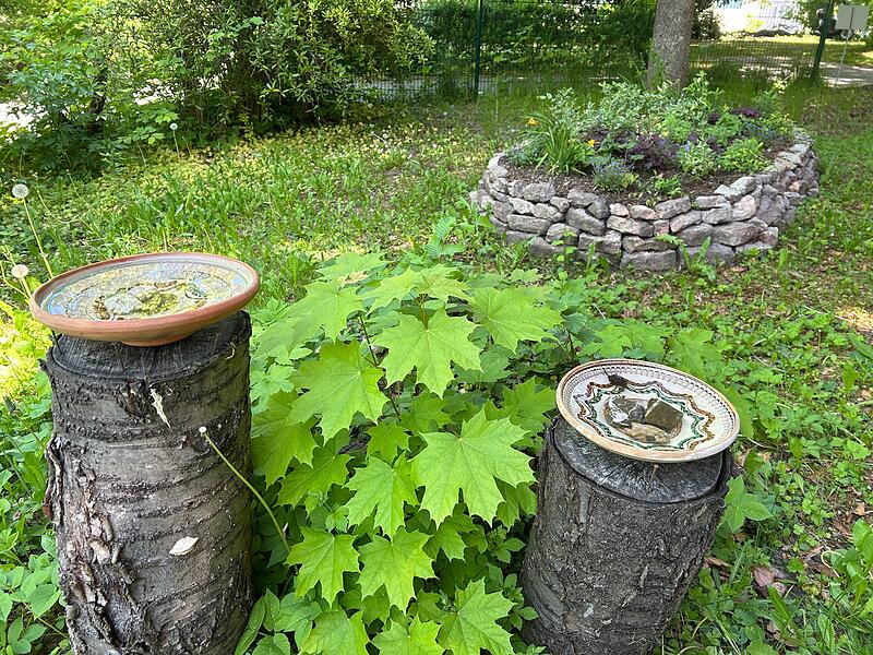 Zeigen, wie leicht Naturschutz sein kann: Contakt-Garten in Coburg eröffnet