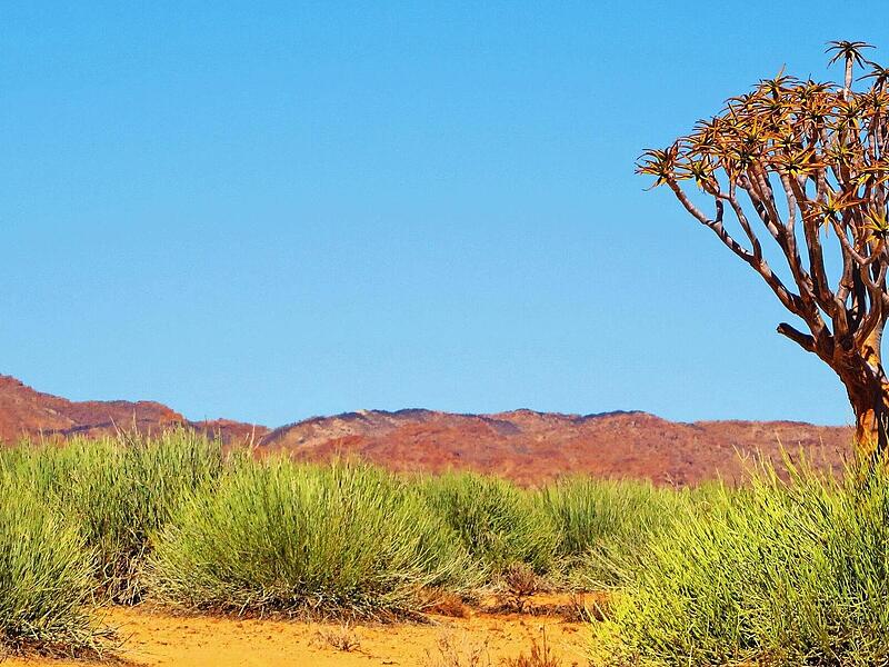 Namibia ist für seine beeindruckenden Landschaften bekannt. Namibia ist für seine beeindruckenden Landschaften bekannt.