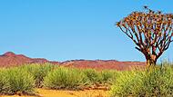 Namibia ist f&uuml;r seine beeindruckenden Landschaften bekannt.