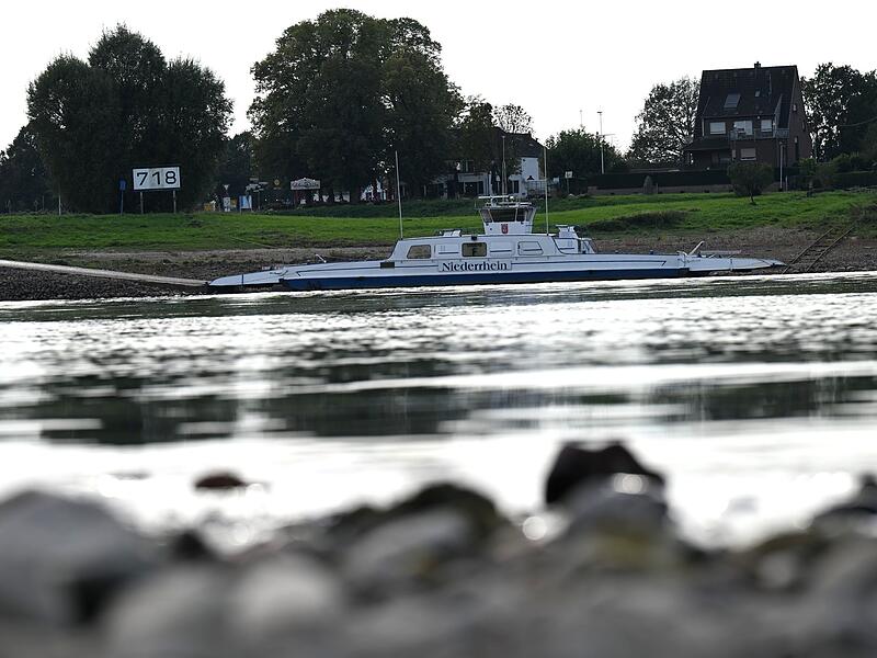 Zonser Rheinfähre Zonser Rheinfähre