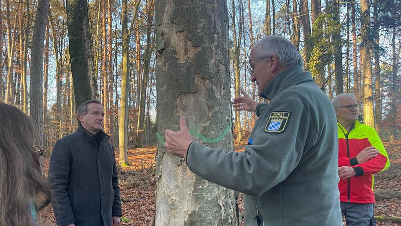 Andreas Leyrer demonstriert stellvertretendem Landrat Michael Ziegler (l.) die Bedeutung eines Biotopbaumes &ndash; hier eine Buche &ndash;, der Insekten und V&ouml;geln noch viele Jahre dienen kann.