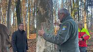 Andreas Leyrer demonstriert stellvertretendem Landrat Michael Ziegler (l.) die Bedeutung eines Biotopbaumes – hier eine Buche –, der Insekten und Vögeln noch viele Jahre dienen kann.