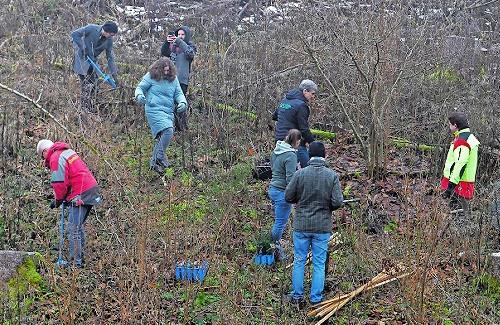 Unter der fachm&auml;nnischen Leitung von Florian Beierwaltes (re) bringen die Unterst&uuml;tzer, Sponsoren und Freiwillige die B&auml;ume in die Erde.