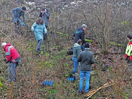Unter der fachm&auml;nnischen Leitung von Florian Beierwaltes (re) bringen die Unterst&uuml;tzer, Sponsoren und Freiwillige die B&auml;ume in die Erde.