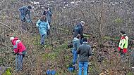 Unter der fachmännischen Leitung von Florian Beierwaltes (re) bringen die Unterstützer, Sponsoren und Freiwillige die Bäume in die Erde. Unter der fachmännischen Leitung von Florian Beierwaltes (re) bringen die Unterstützer, Sponsoren und Freiwillige die Bäume in die Erde.