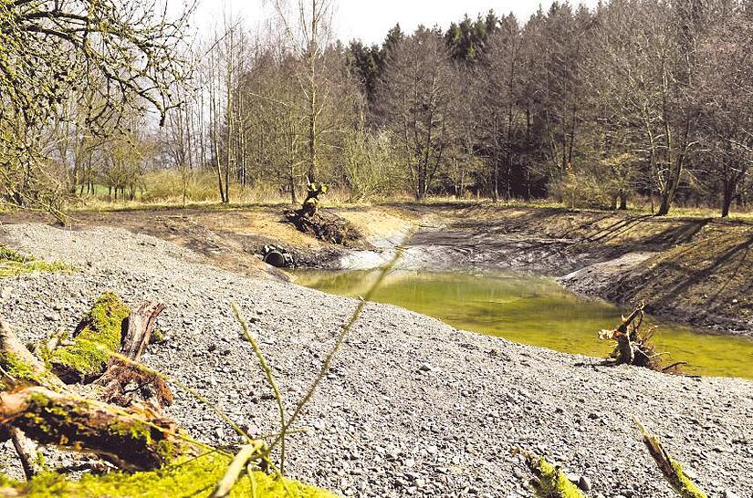 Landschaftspflegeverbände kümmern sich auch um den Erhalt von Biotopen.