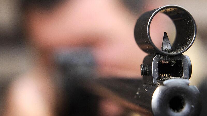 Unbekannter schießt mit Luftgewehr auf Kater in Reckendorf Unbekannter schießt mit Luftgewehr auf Kater in Reckendorf