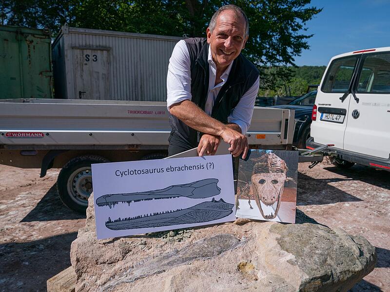 Unterkiefer eines 230 Millionen Jahren alten Sauriers entdeckt