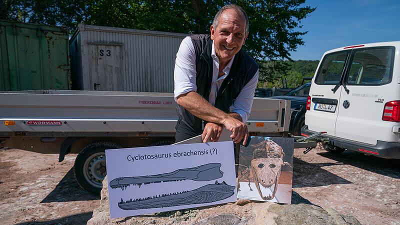 Unterkiefer eines 230 Millionen Jahren alten Sauriers entdeckt