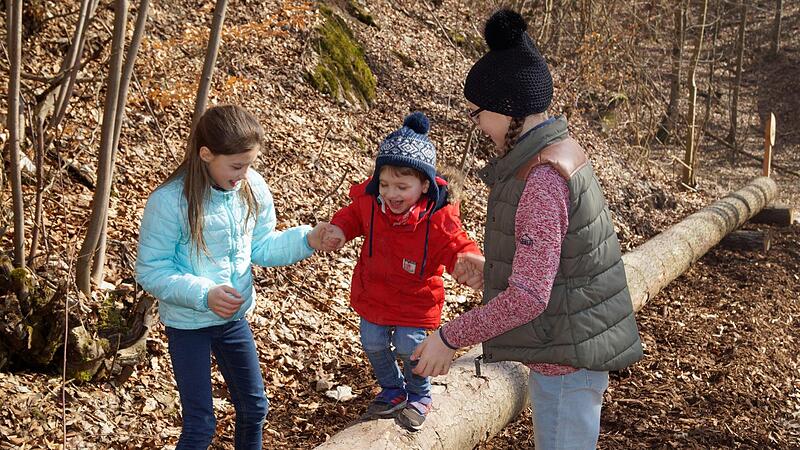 Auf dem Naturerlebnisweg bei Melkendorf gibt es an 16 Stationen Spannendes &uuml;ber Pflanzen und Tiere zu erfahren.