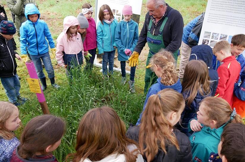 Die Frauenauracher Sch&uuml;ler waren dabei, als an der Schleuse Kriegenbrunn ganze Waldameisen-V&ouml;lker umgesiedelt wurden.