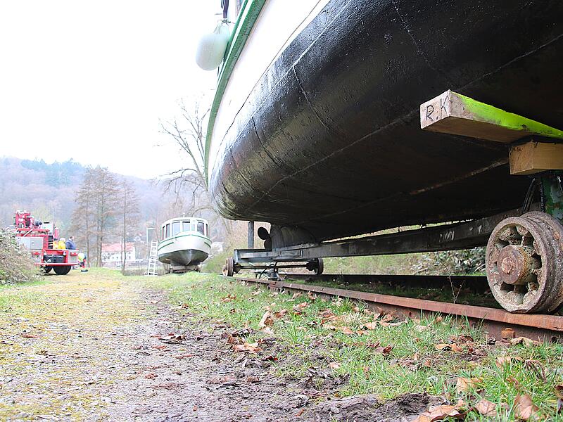 Dampferle sind zur&uuml;ck (2026)