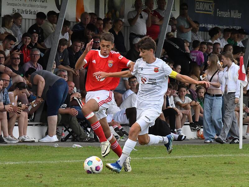 Eine gro&szlig;e Herausforderung beim diesj&auml;hrigen Rimini-Cup wird die gro&szlig;e Hitze sein. Unser Bild zeigt den Gastauftritt damals von Benfica Lissabon vor einer prall gef&uuml;llten Trib&uuml;ne. Das Teilnehmerfeld hat sich in diesem Jahr von urspr&uuml;nglich acht Te...