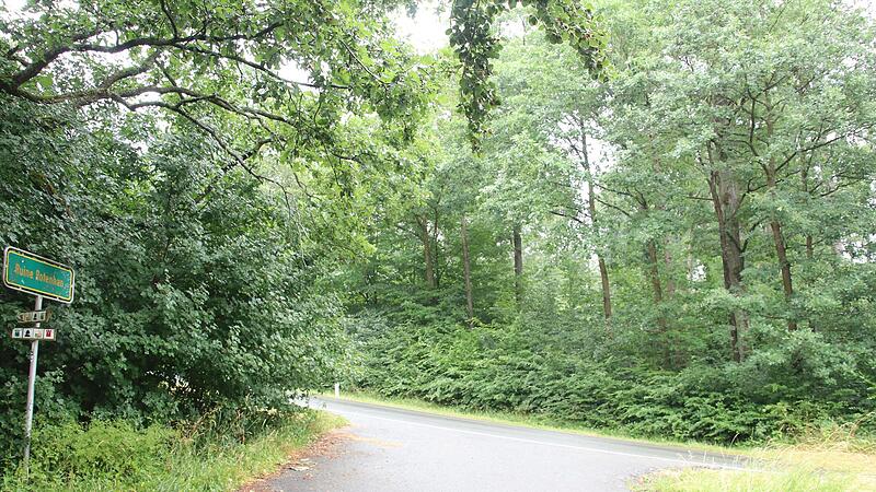 Oberhalb der Ruine Rotenhan, auf der rechten Seite der Straße in Richtung Kurzewind, möchte Hermann von Rotenhan in seinem Wald einen Naturfriedhof errichten.