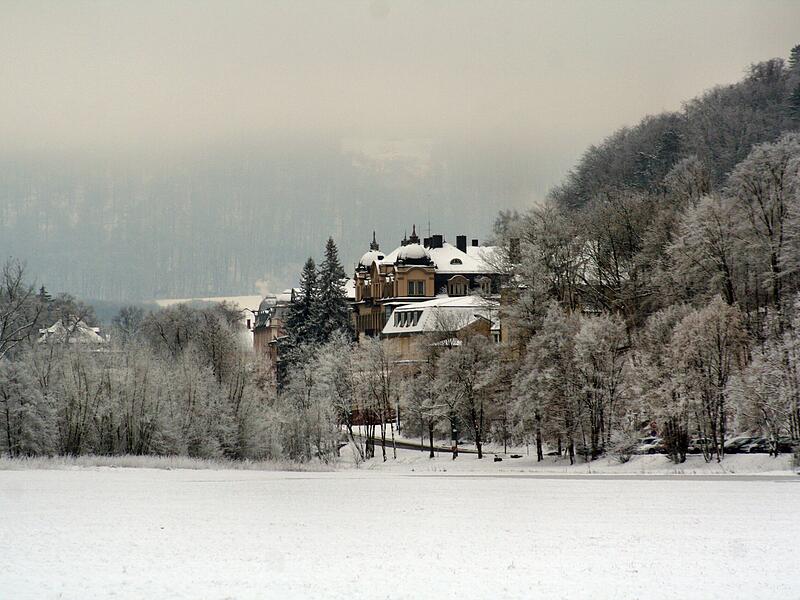 Wei&szlig;e Pracht in der sonst gr&uuml;nen Au mit Blick auf den F&uuml;rstenhof. Welch eine Stille.