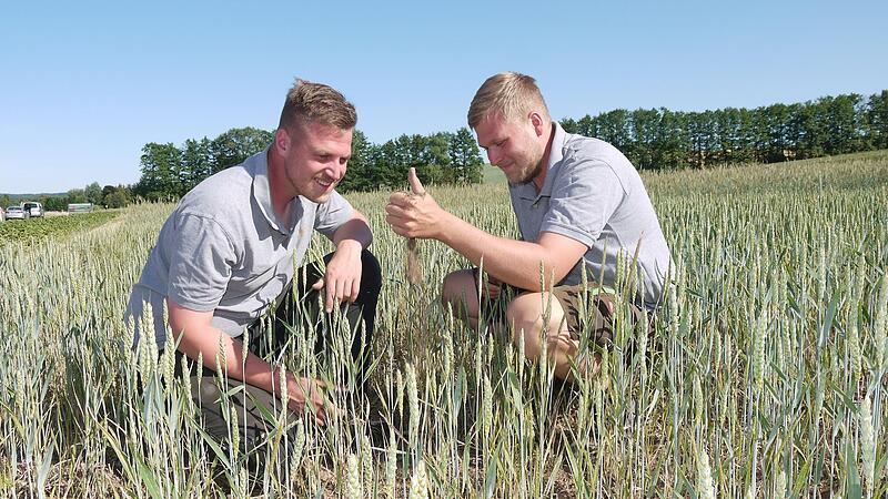 Wenig Regen, wenig Ertrag:  Der Weizenbestand auf dem Demofeld von David Leutheu&szlig;er (links) und Andreas Roppelt erweckt nicht gerade den Eindruck, als k&ouml;nnte er sich bis Ernte in  f&uuml;nf bis sechs Wochen wieder fangen.  Deshalb hoffen die beiden Lan...