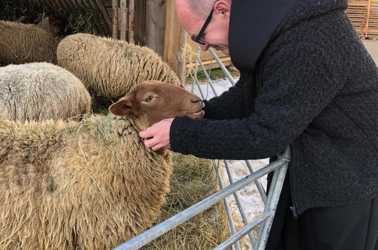 Abt Beda k&uuml;mmert sich im Kloster Plankstetten liebevoll um seine Schafe.Forchheim & Fr&auml;nkische Schweiz