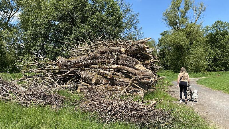 Bei der Gehölzpflege hat sich schon etwas getan. Seit April liegt Baumschnitt am Saaleufer in Diebach zum Abtransport bereit. Bei der Gehölzpflege hat sich schon etwas getan. Seit April liegt Baumschnitt am Saaleufer in Diebach zum Abtransport bereit.