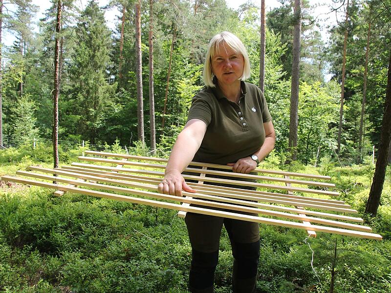 Naturlehrpfad RehbergNaturlehrpfad Rehberg
