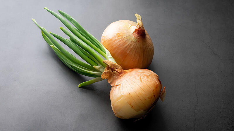 Angekeimte Speisezwiebeln können im Winter schnell für gesundes Grün sorgen. Angekeimte Speisezwiebeln können im Winter schnell für gesundes Grün sorgen.