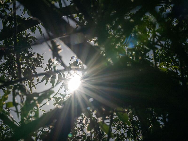 Wetter in Bayern