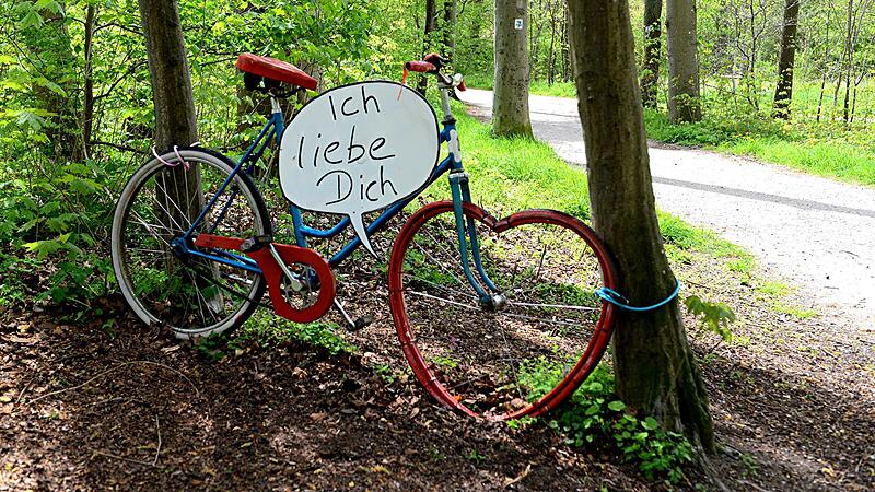 Er ist Bambergs Freizeitoase und gr&uuml;nes Wohnzimmer: Der Hainpark geh&ouml;rt allen und niemandem &ndash; und genau deshalb fehle es an Wertsch&auml;tzung, kritisiert der B&uuml;rgerparkverein. Zeit f&uuml;r einen  Spaziergang.