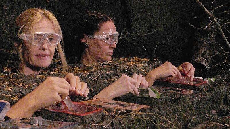 Ich bin ein Star - Holt mich hier raus! - Tag 9