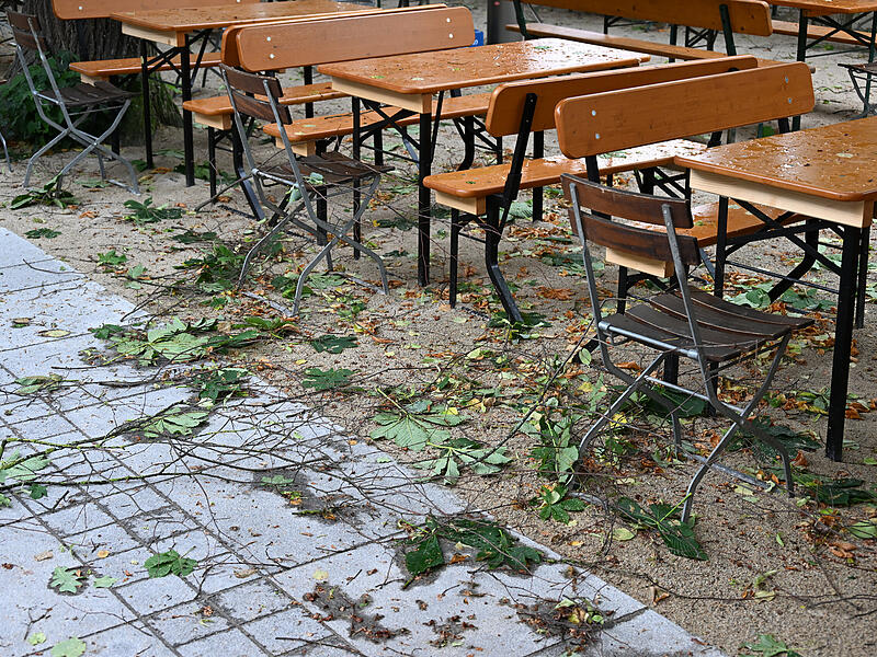 Sturmschäden LaurenziplatzSturmschäden am Laurenziplatz u.a.