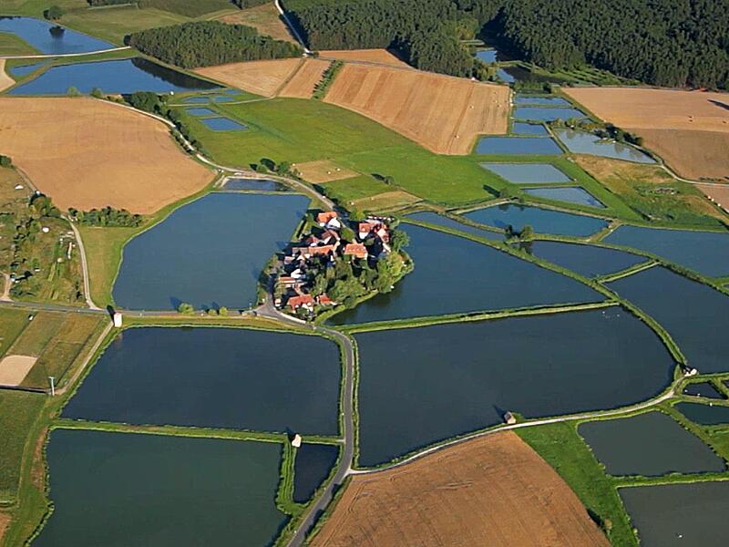 Karpfenteiche prägen den Aischgrund in Erlangen-Höchstadt. Wie groß ist das touristische Potenzial? Der Aischgrund in Erlangen-Höchstadt ist für seine vielen Weiher bekannt.