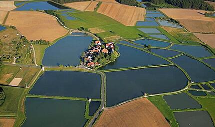 Karpfenteiche prägen den Aischgrund in Erlangen-Höchstadt. Wie groß ist das touristische Potenzial? Der Aischgrund in Erlangen-Höchstadt ist für seine vielen Weiher bekannt.