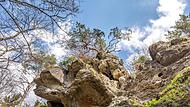 Ursprüngliche Naturlandschaften zeichnen die Route aus. Ursprüngliche Naturlandschaften zeichnen die Route aus.