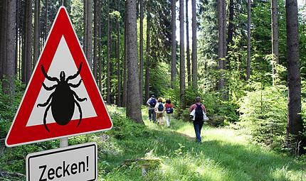 Zecken.jpeg