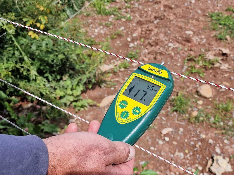 Die Spannung passt. Bis zu 10.000 Volt laufen durch einen der Drähte. Die Spannung passt. Bis zu 10.000 Volt laufen durch einen der Drähte.