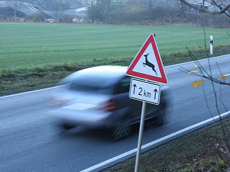 Gefahr durch Wildtiere Gefahr durch Wildtiere