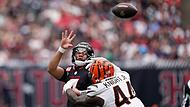 Houston Texans - Cincinnati Bengals Houston Texans - Cincinnati Bengals