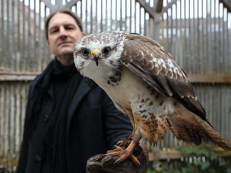 Greifv&ouml;gelAuffangstation