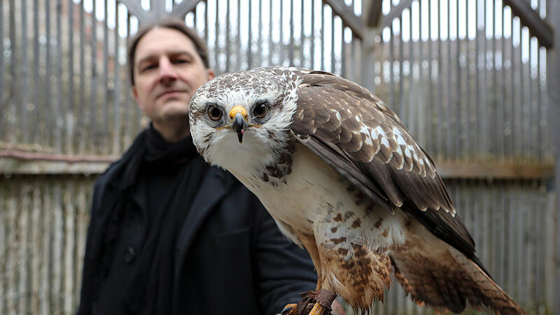 Greifv&ouml;gelAuffangstation