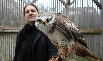 Greifv&ouml;gelAuffangstation